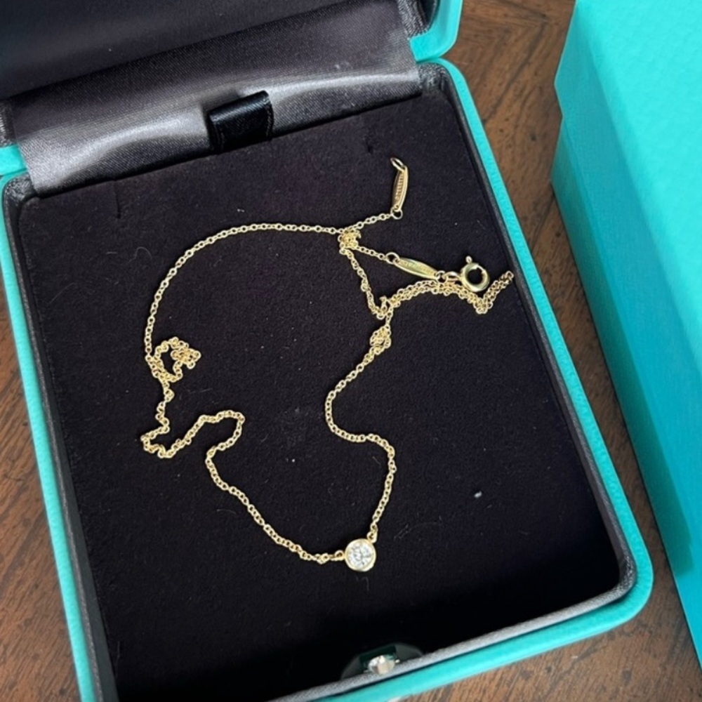 Tiffany and Co. Diamonds by the Yard® Single Diamond Pendent